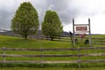 _MG_4615c
