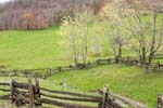 _MG_4708c