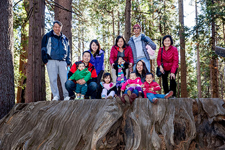 Chans on the Discovery Tree 2014