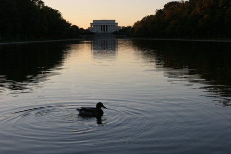 Reflecting pool at dusk